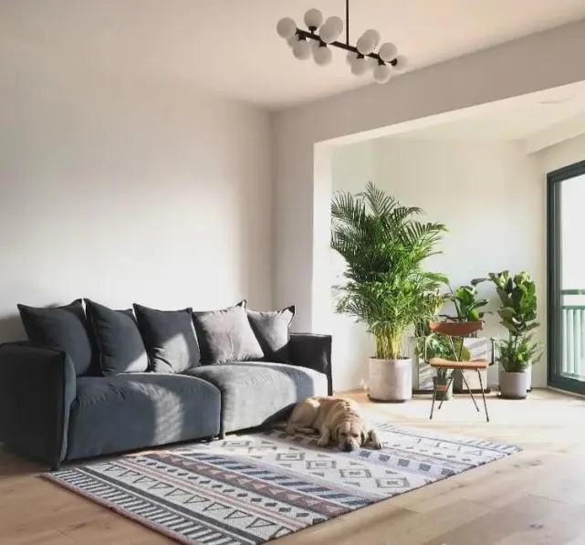 陽臺要不要裝推拉門?客廳和陽臺裝門與不裝門的優缺點 陽臺要不要裝推拉門?客廳和陽臺裝門與不裝門的優缺點